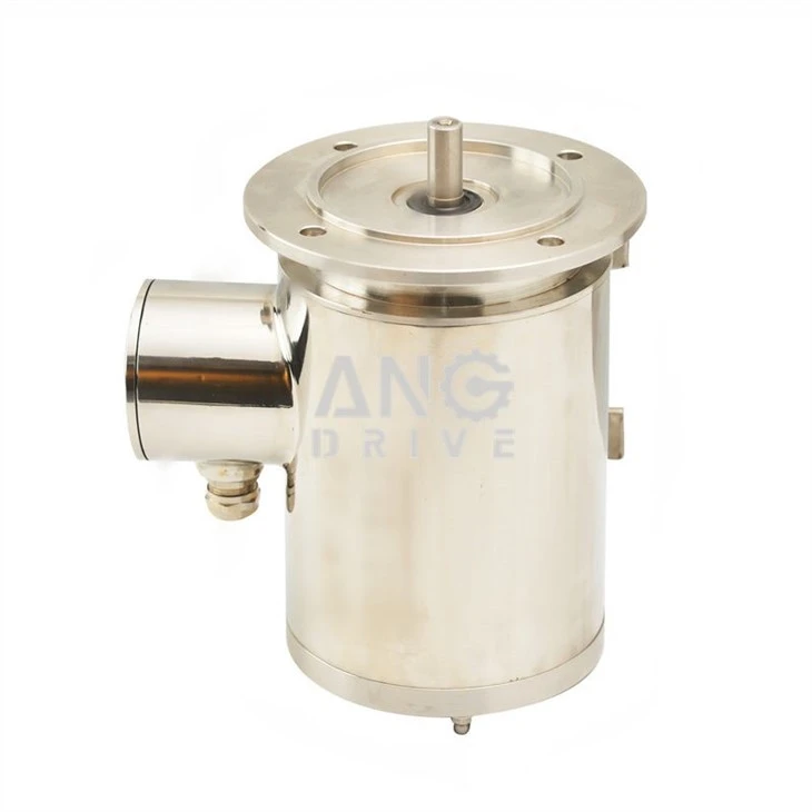 Stainless Steel Electric Motor