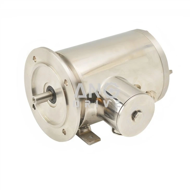 Stainless Steel Electric Motor