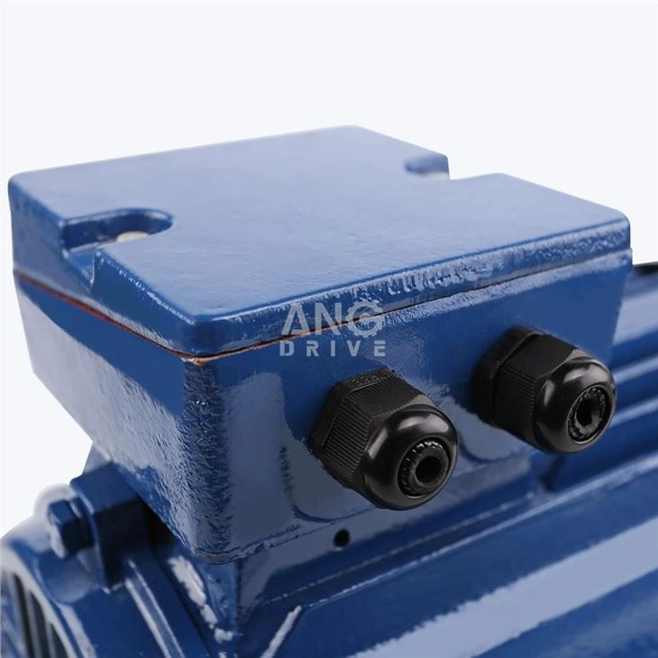 4KW Electric Motor