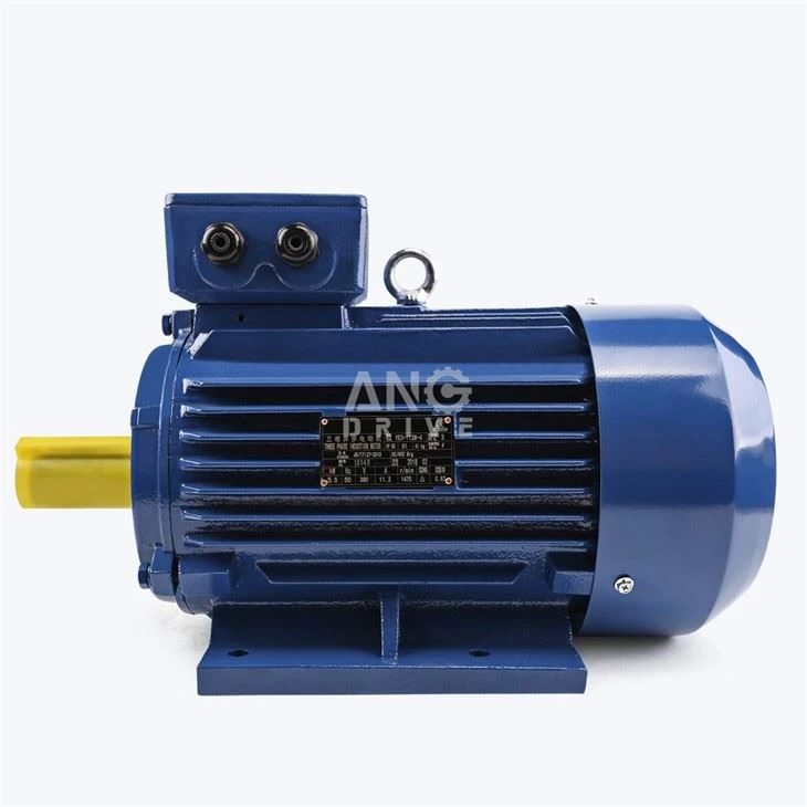 4KW Electric Motor