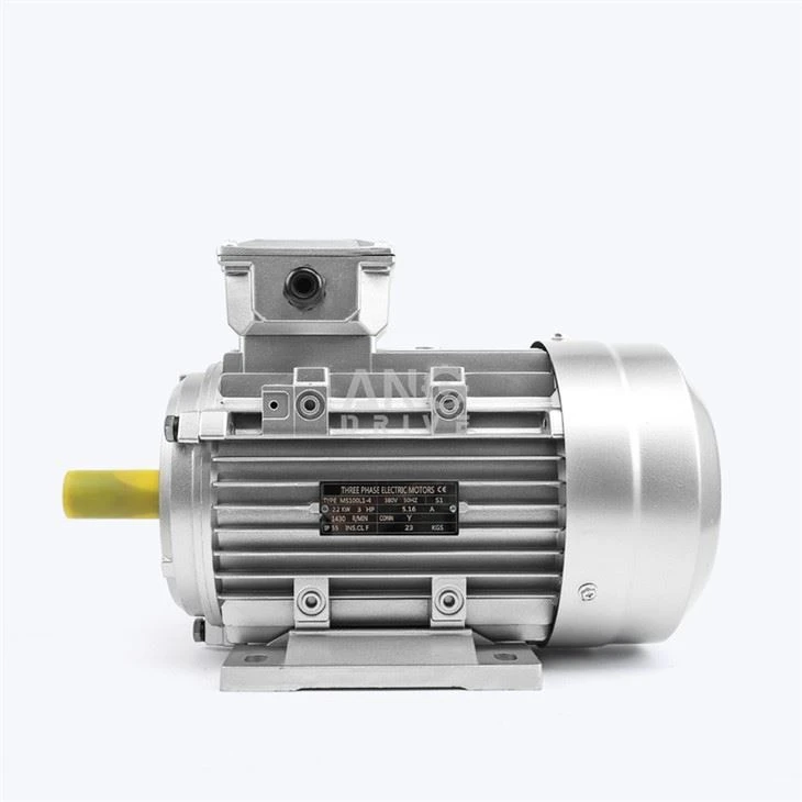 Motor ANP