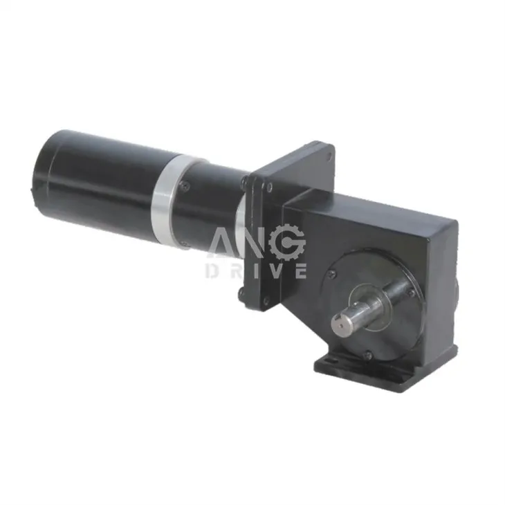 dc brushless low rpm motor