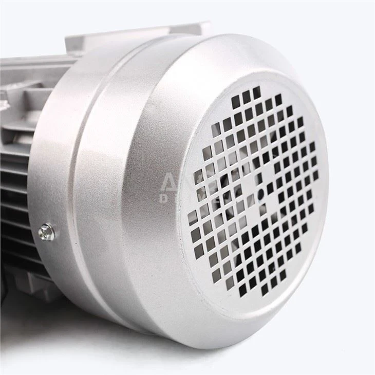 IEC Electric Motor