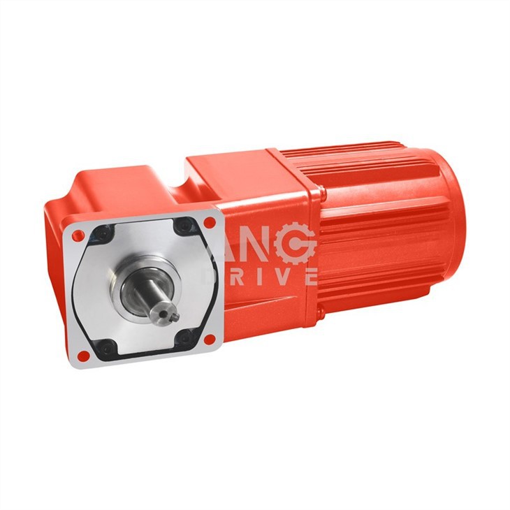 ac worm motor