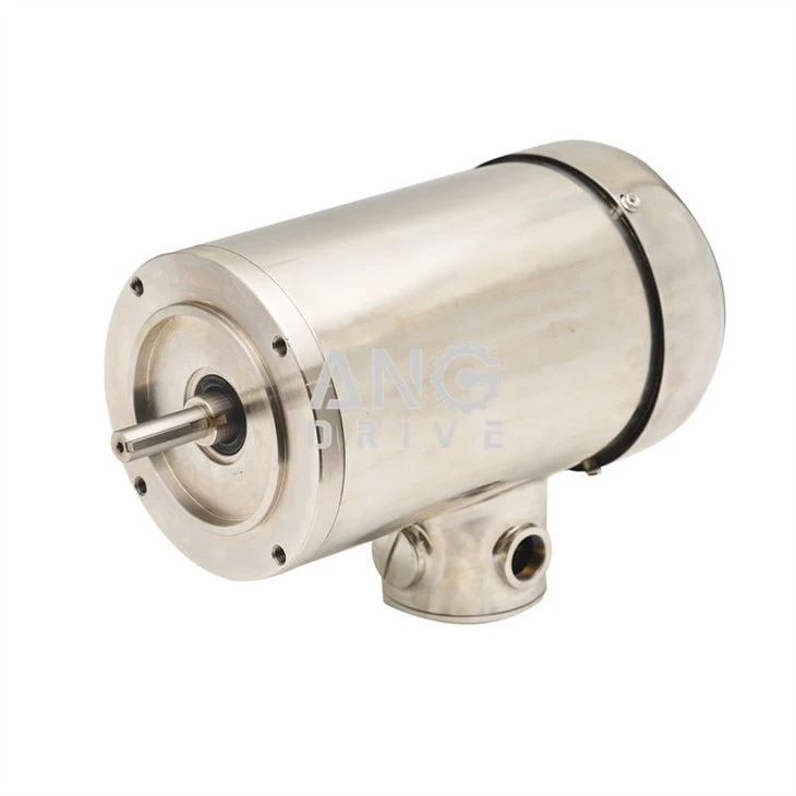 washdown motor