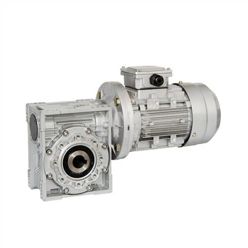 Motor Gear Poros Wanita Female