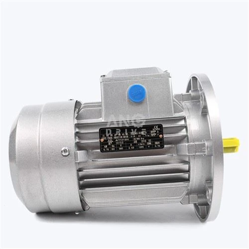 Motor Listrik TEFC