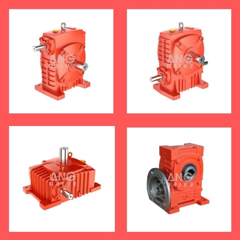 product-800-800